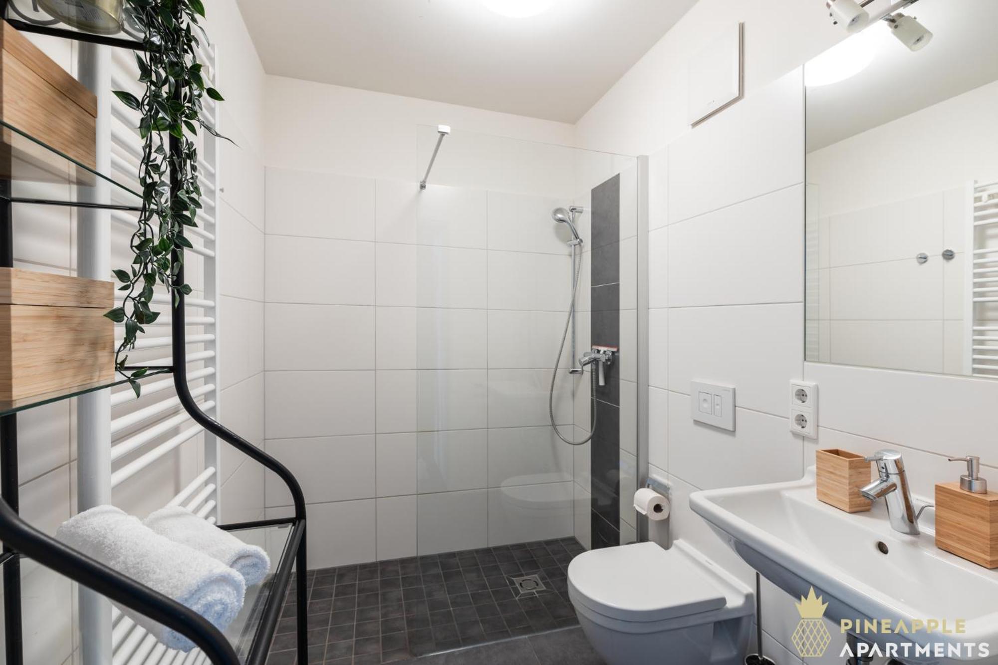 Pineapple Apartments Studio-Apartment Am Zwinger دريسدن المظهر الخارجي الصورة